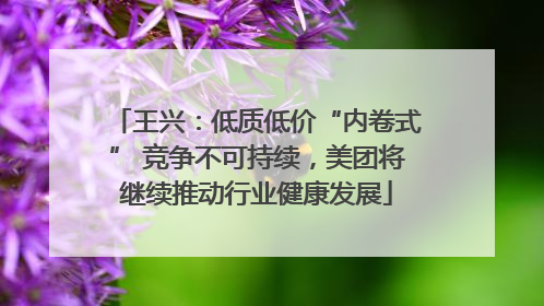 王兴：低质低价“内卷式” 竞争不可持续，美团将继续推动行业健康发展