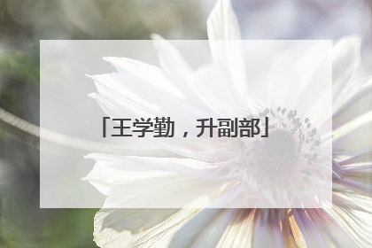 王学勤，升副部