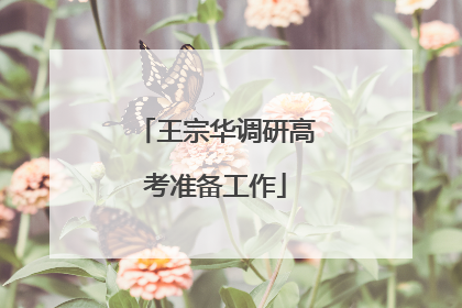 王宗华调研高考准备工作