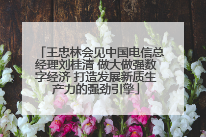王忠林会见中国电信总经理刘桂清 做大做强数字经济 打造发展新质生产力的强劲引擎