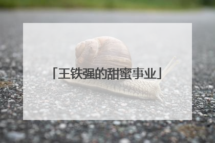 王铁强的甜蜜事业