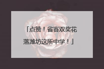点赞！省赛双奖花落潍坊这所中学！