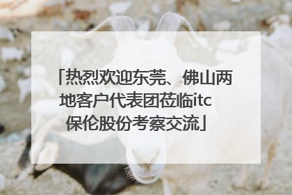 热烈欢迎东莞、佛山两地客户代表团莅临itc保伦股份考察交流