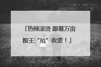 热辣滚烫 跟着万亩粮王“抢”收麦！