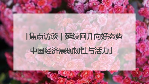 焦点访谈｜延续回升向好态势 中国经济展现韧性与活力