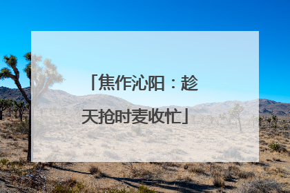 焦作沁阳：趁天抢时麦收忙