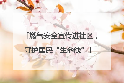 燃气安全宣传进社区，守护居民“生命线”