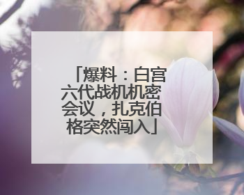 爆料：白宫六代战机机密会议，扎克伯格突然闯入
