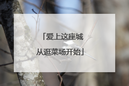 爱上这座城 从逛菜场开始