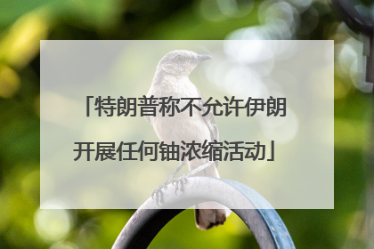 特朗普称不允许伊朗开展任何铀浓缩活动