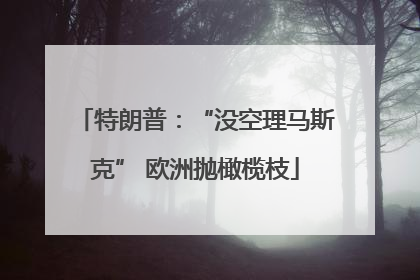 特朗普：“没空理马斯克” 欧洲抛橄榄枝