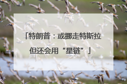 特朗普：或挪走特斯拉 但还会用“星链”