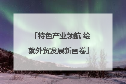 特色产业领航 绘就外贸发展新画卷
