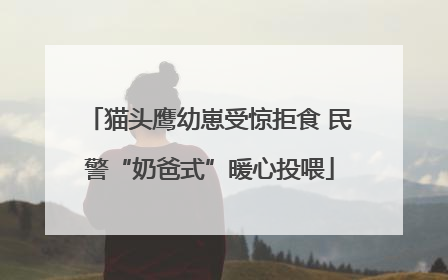 猫头鹰幼崽受惊拒食 民警“奶爸式”暖心投喂
