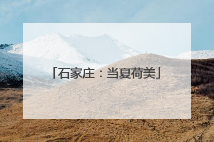 石家庄：当夏荷美