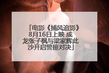 电影《捕风追影》8月16日上映 成龙张子枫与梁家辉此沙开启警匪对决