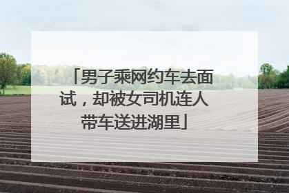 男子乘网约车去面试，却被女司机连人带车送进湖里