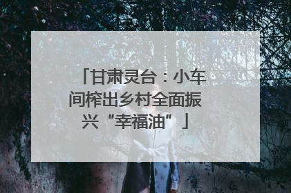 甘肃灵台：小车间榨出乡村全面振兴“幸福油”