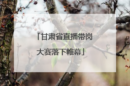 甘肃省直播带岗大赛落下帷幕