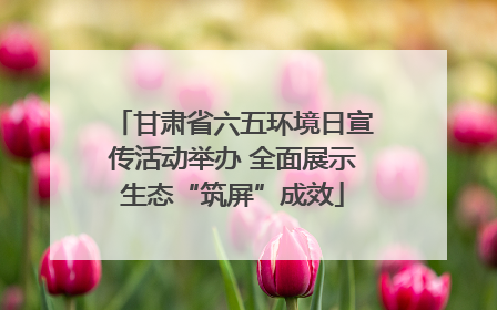甘肃省六五环境日宣传活动举办 全面展示生态“筑屏”成效