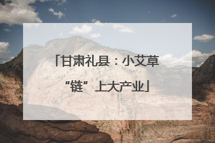 甘肃礼县：小艾草“链”上大产业