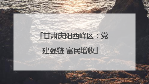 甘肃庆阳西峰区：党建强链 富民增收