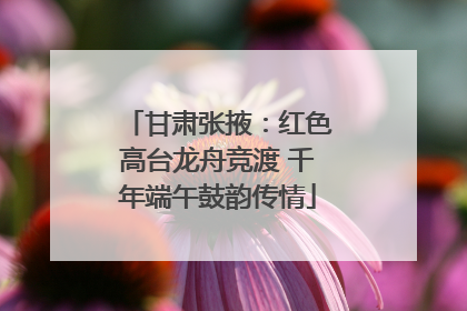 甘肃张掖：红色高台龙舟竞渡 千年端午鼓韵传情