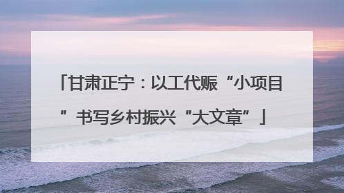 甘肃正宁：以工代赈“小项目”书写乡村振兴“大文章”