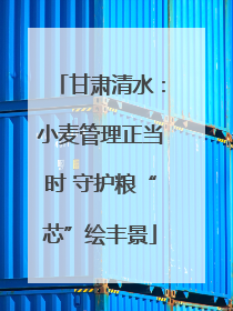 甘肃清水：小麦管理正当时 守护粮“芯”绘丰景