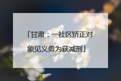 甘肃：一社区矫正对象见义勇为获减刑