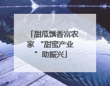 甜瓜飘香富农家 “甜蜜产业”助振兴