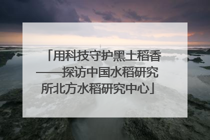 用科技守护黑土稻香——探访中国水稻研究所北方水稻研究中心