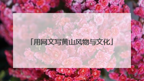用网文写黄山风物与文化