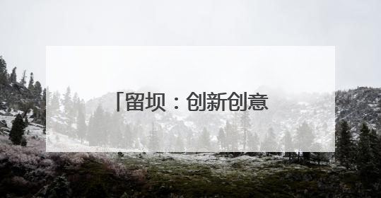 留坝：创新创意大赛激活和美乡村建设新动能