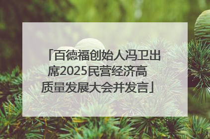 百德福创始人冯卫出席2025民营经济高质量发展大会并发言