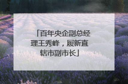 百年央企副总经理王秀峰，履新直辖市副市长