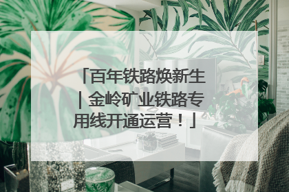 百年铁路焕新生｜金岭矿业铁路专用线开通运营！