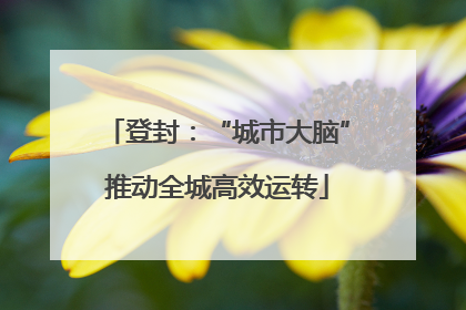 登封：“城市大脑”推动全城高效运转