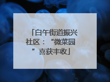 白午街道振兴社区：“微菜园”喜获丰收