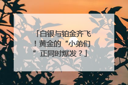 白银与铂金齐飞！黄金的“小弟们”正同时爆发？