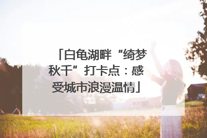 白龟湖畔“绮梦秋千”打卡点：感受城市浪漫温情