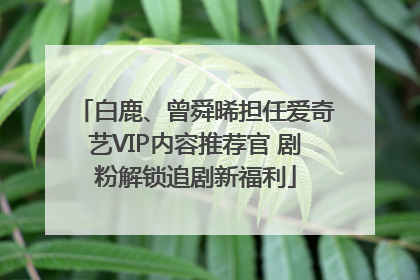 白鹿、曾舜晞担任爱奇艺VIP内容推荐官 剧粉解锁追剧新福利
