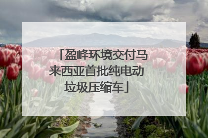 盈峰环境交付马来西亚首批纯电动垃圾压缩车