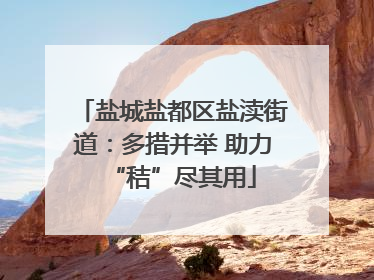 盐城盐都区盐渎街道：多措并举 助力“秸”尽其用