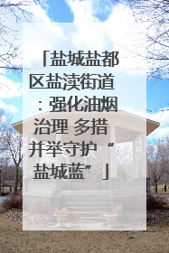 盐城盐都区盐渎街道：强化油烟治理 多措并举守护“盐城蓝”