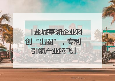 盐城亭湖企业科创“出圈”，专利引领产业腾飞