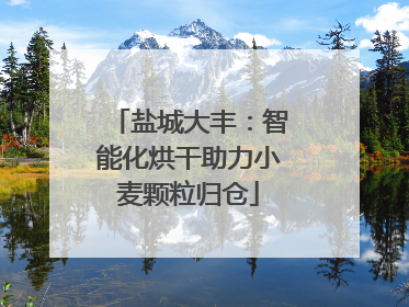 盐城大丰：智能化烘干助力小麦颗粒归仓