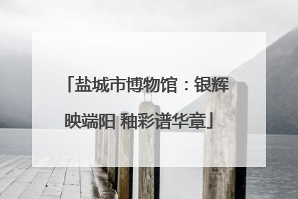 盐城市博物馆：银辉映端阳 釉彩谱华章