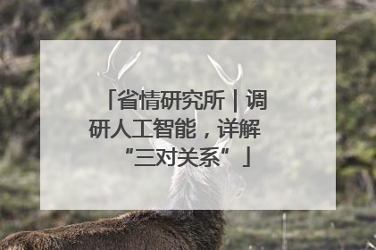 省情研究所｜调研人工智能，详解“三对关系”
