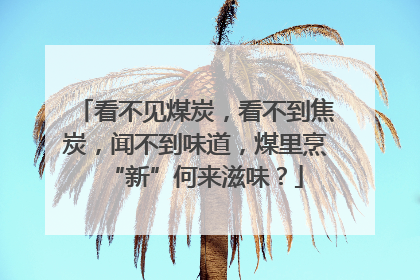 看不见煤炭，看不到焦炭，闻不到味道，煤里烹“新”何来滋味？
